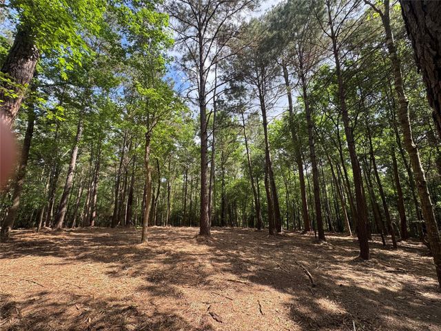 29 & 30-21-9 Windmill Road, Huntsville, TX 77340