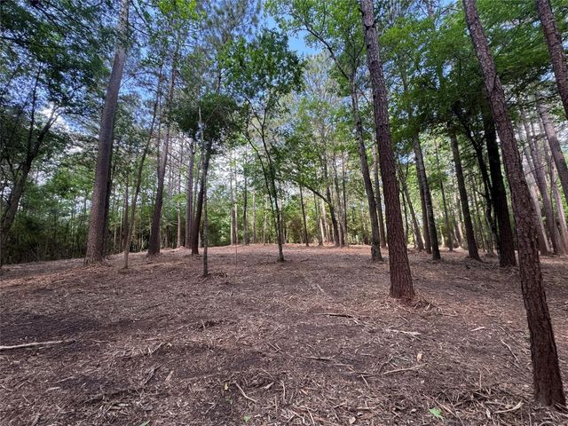 29 & 30-21-9 Windmill Road, Huntsville, TX 77340