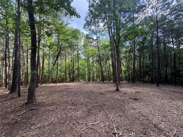 29 & 30-21-9 Windmill Road, Huntsville, TX 77340