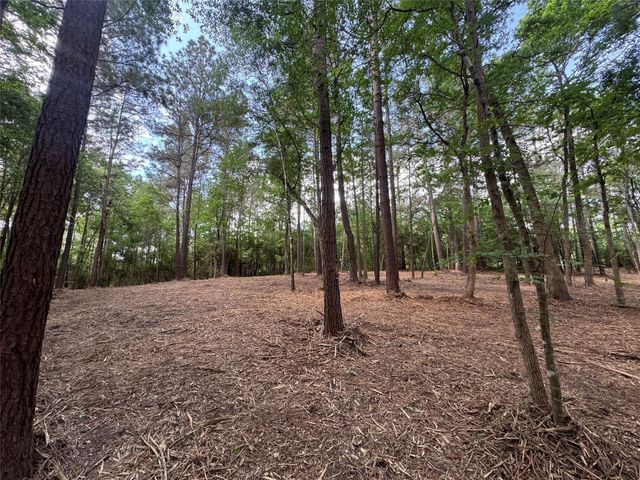 29 & 30-21-9 Windmill Road, Huntsville, TX 77340