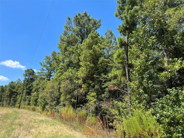 29 & 30-21-9 Windmill Road, Huntsville, TX 77340