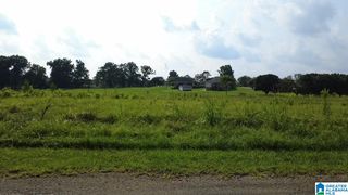 LAUREN LANE, Moody, AL 35004