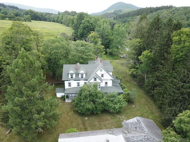 109 Mary Smith Hill Road, Livingston Manor, NY 12758