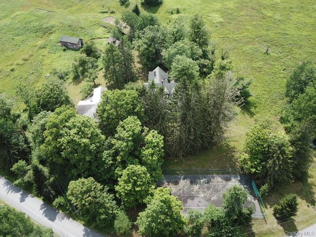 109 Mary Smith Hill Road, Livingston Manor, NY 12758