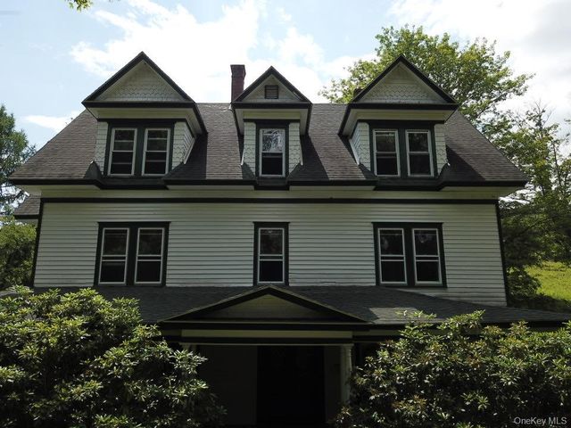 109 Mary Smith Hill Road, Livingston Manor, NY 12758