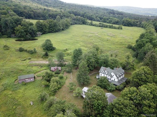 109 Mary Smith Hill Road, Livingston Manor, NY 12758