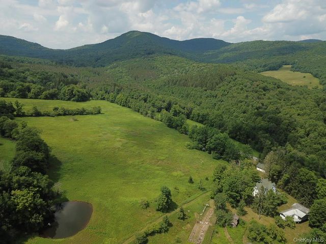109 Mary Smith Hill Road, Livingston Manor, NY 12758