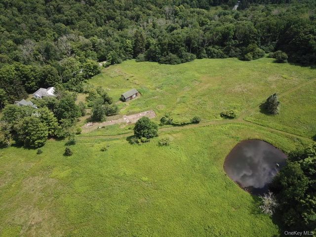 109 Mary Smith Hill Road, Livingston Manor, NY 12758