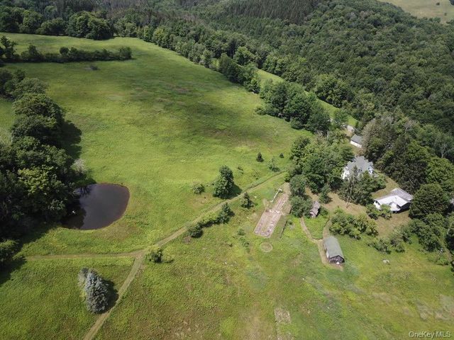 109 Mary Smith Hill Road, Livingston Manor, NY 12758