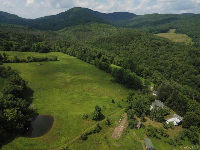 109 Mary Smith Hill Road, Livingston Manor, NY 12758