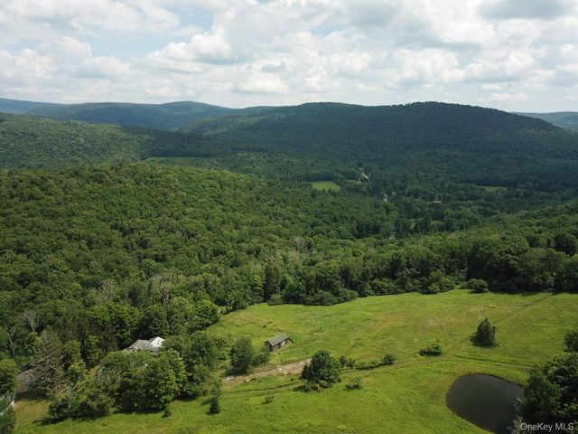 109 Mary Smith Hill Road, Livingston Manor, NY 12758