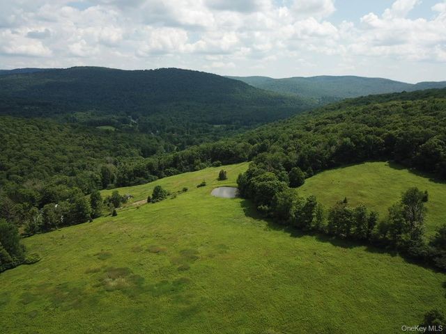 109 Mary Smith Hill Road, Livingston Manor, NY 12758