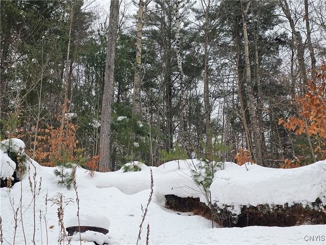 6558 McPhilmy Road, Watson, NY 13367