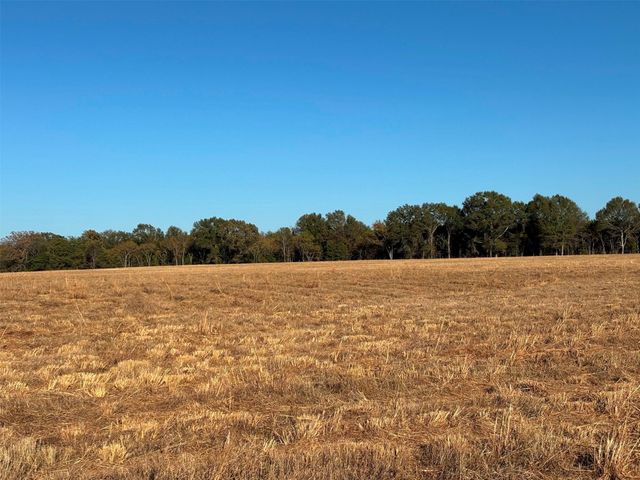 000 Fm 1653, Ben Wheeler, TX 75754