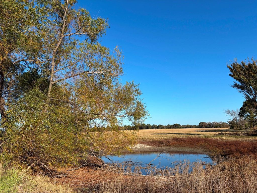 000 Fm 1653, Ben Wheeler, TX 75754