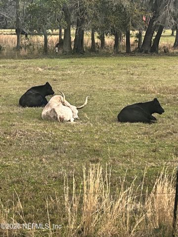 2734 OAK STREAM Drive, Green Cove Springs, FL 32043