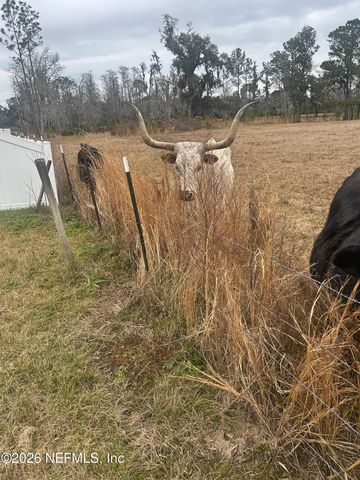 2734 OAK STREAM Drive, Green Cove Springs, FL 32043