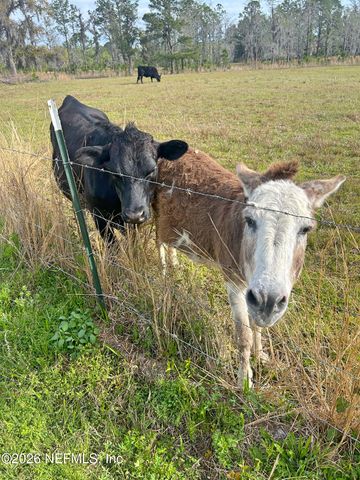 2734 OAK STREAM Drive, Green Cove Springs, FL 32043