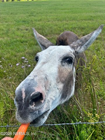 2734 OAK STREAM Drive, Green Cove Springs, FL 32043