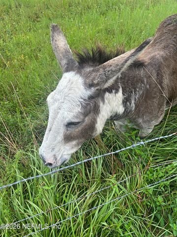 2734 OAK STREAM Drive, Green Cove Springs, FL 32043