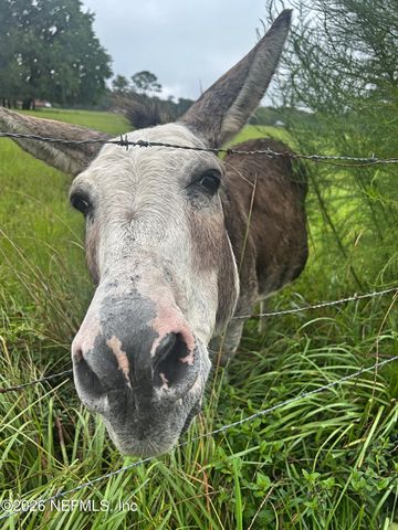 2734 OAK STREAM Drive, Green Cove Springs, FL 32043