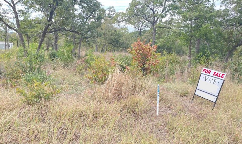 195 Tuck ST, Cedar Creek, TX 78612