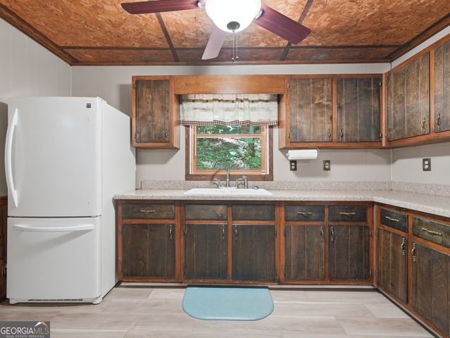 629 Goose Island Road, Cherry Log, GA 30522