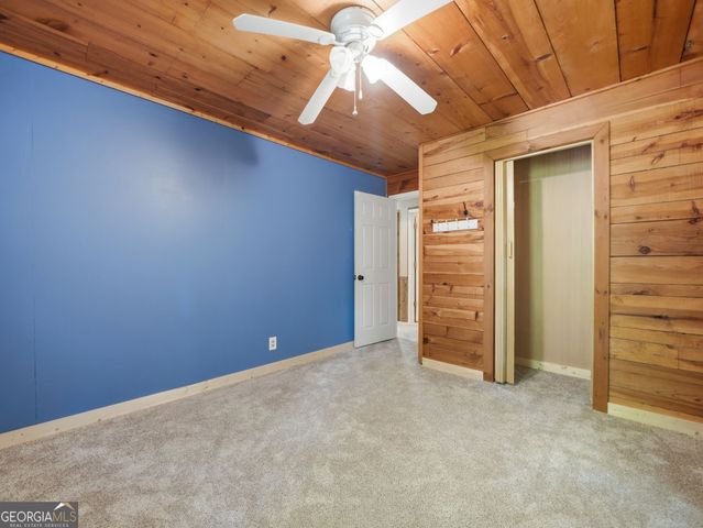 629 Goose Island Road, Cherry Log, GA 30522