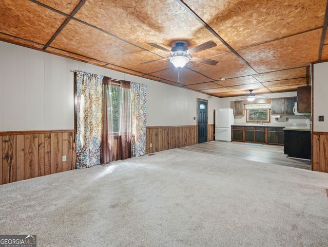 629 Goose Island Road, Cherry Log, GA 30522