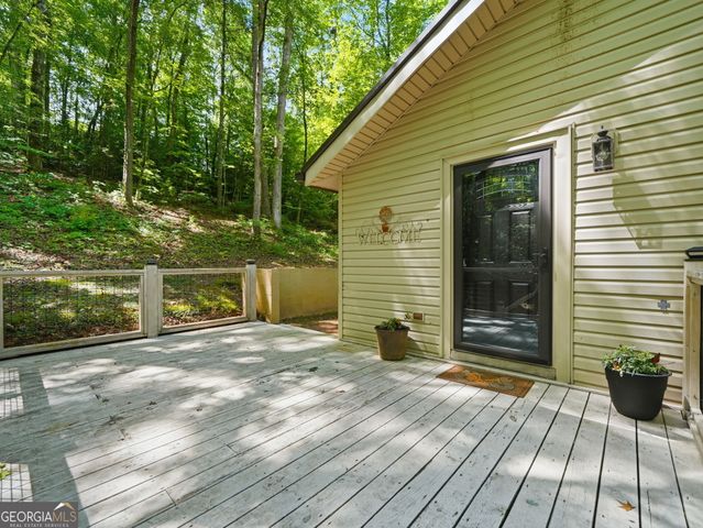 629 Goose Island Road, Cherry Log, GA 30522
