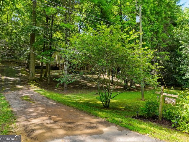 629 Goose Island Road, Cherry Log, GA 30522