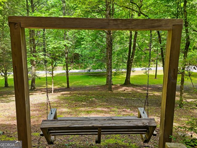 629 Goose Island Road, Cherry Log, GA 30522