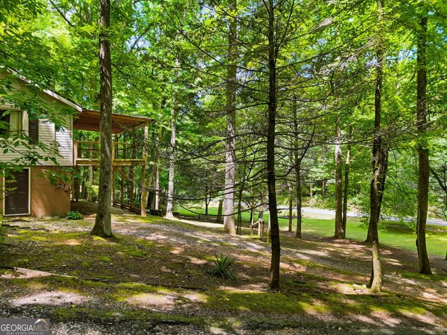 629 Goose Island Road, Cherry Log, GA 30522