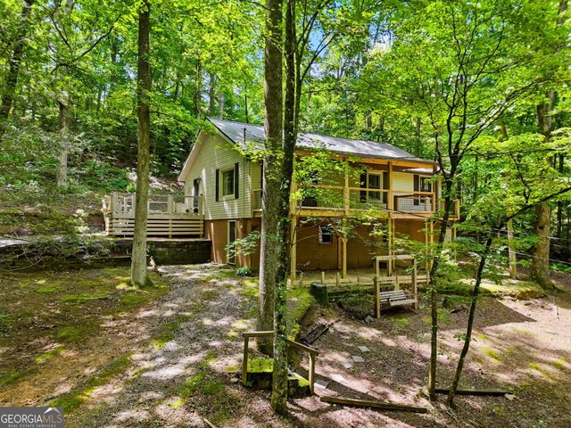 629 Goose Island Road, Cherry Log, GA 30522