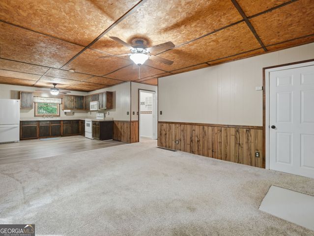 629 Goose Island Road, Cherry Log, GA 30522
