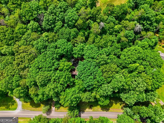 629 Goose Island Road, Cherry Log, GA 30522
