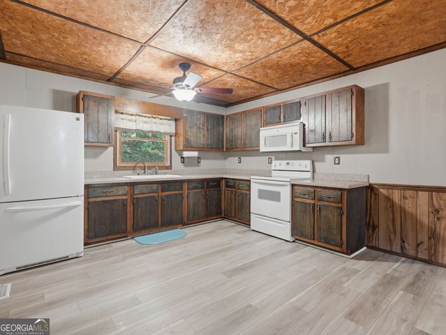 629 Goose Island Road, Cherry Log, GA 30522