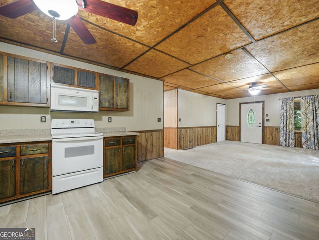 629 Goose Island Road, Cherry Log, GA 30522