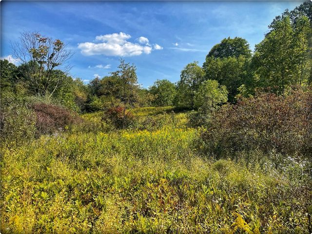 0 Rte 168, South Beaver Twp, PA 16115