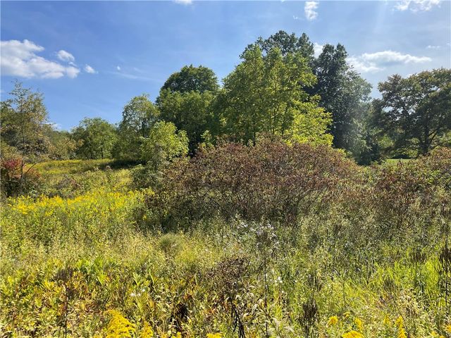 0 Rte 168, South Beaver Twp, PA 16115