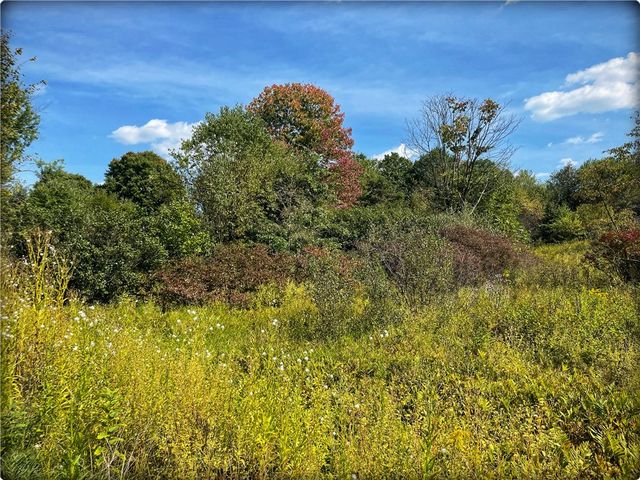 0 Rte 168, South Beaver Twp, PA 16115