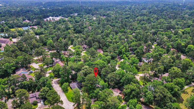 6 Yewleaf Court, The Woodlands, TX 77381