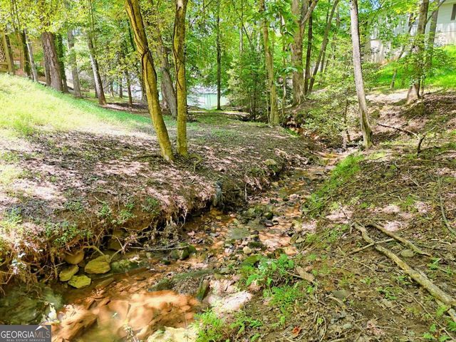 993 Lakeside Drive, Blairsville, GA 30512