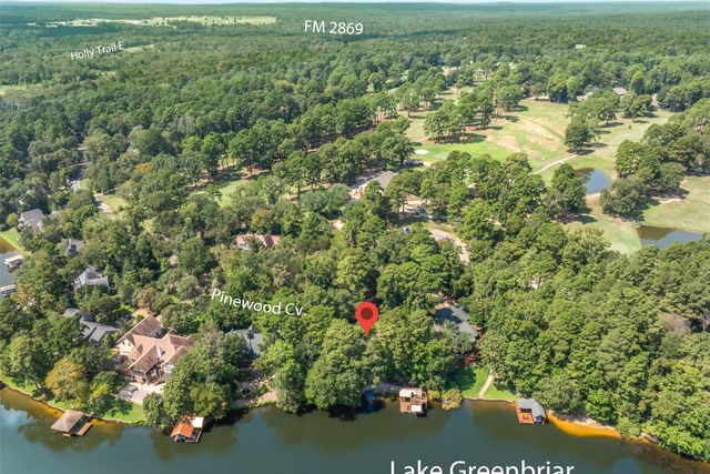 148 Pinewood Cove, Holly Lake Ranch, TX 75765