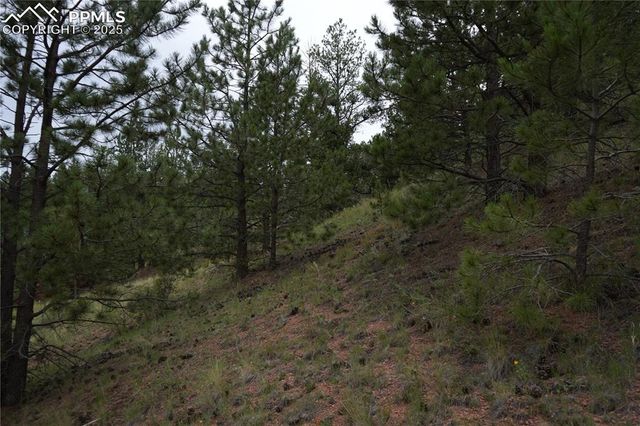 557 Gold King Drive, Cripple Creek, CO 80813