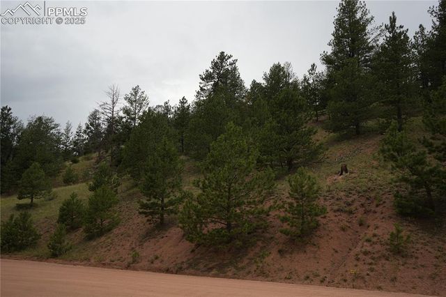 557 Gold King Drive, Cripple Creek, CO 80813