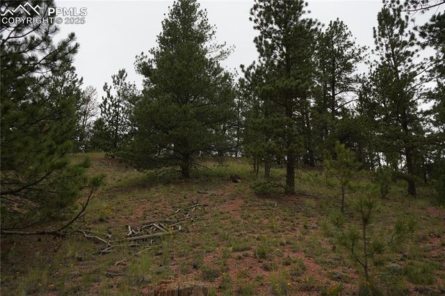 557 Gold King Drive, Cripple Creek, CO 80813