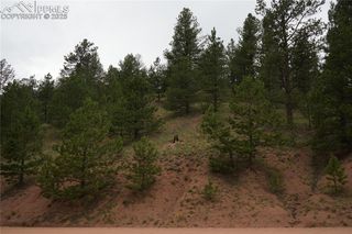 557 Gold King Drive, Cripple Creek, CO 80813