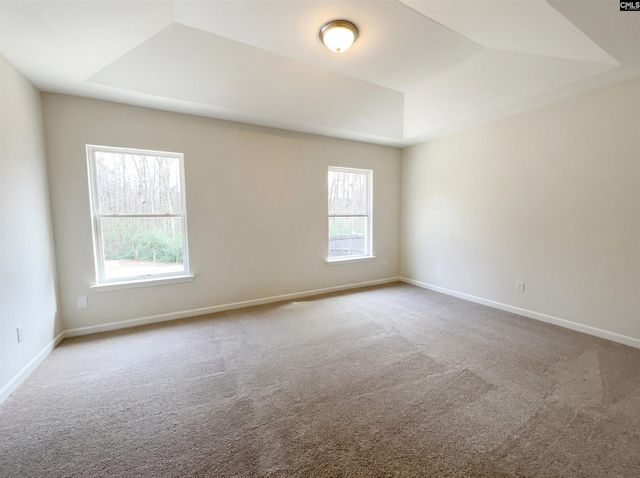 288 Wild Olive Drive, Columbia, SC 29229