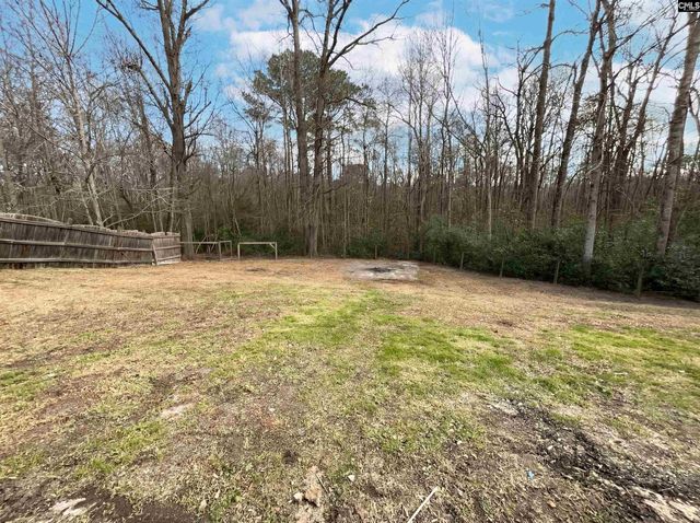 288 Wild Olive Drive, Columbia, SC 29229